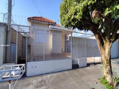 Kitnet para Locação, em Andradina, bairro Stella Maris, 1 dormitório, 1 banheiro, 1 suíte